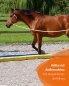 Preview: Horse lane, yellow/blue