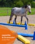 Preview: Horse lane, yellow/blue