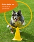 Preview: Combination ring 70