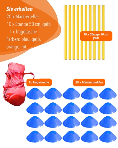 Mini hurdles Set of 10 with 50 cm poles & carrying bag