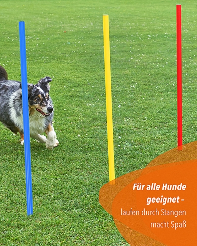 Slalomstangen mit Metallspieß, 100 cm, ø 32 mm, 3 Farben