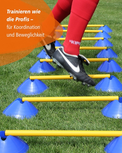 Mini hurdles set of 10 with carrying holder & 100 cm poles, troughs & poles in 4 colors