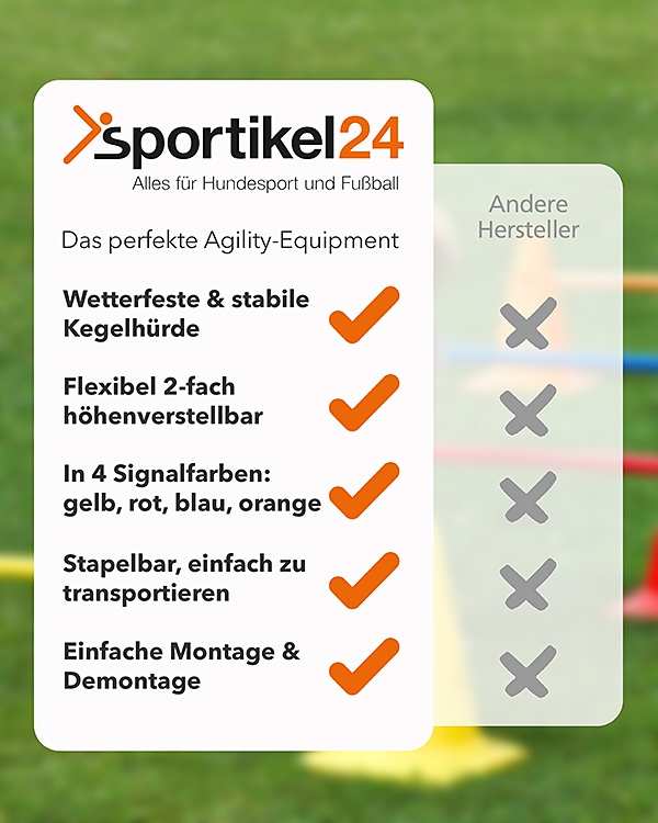 Kegelhürde 30 cm hoch