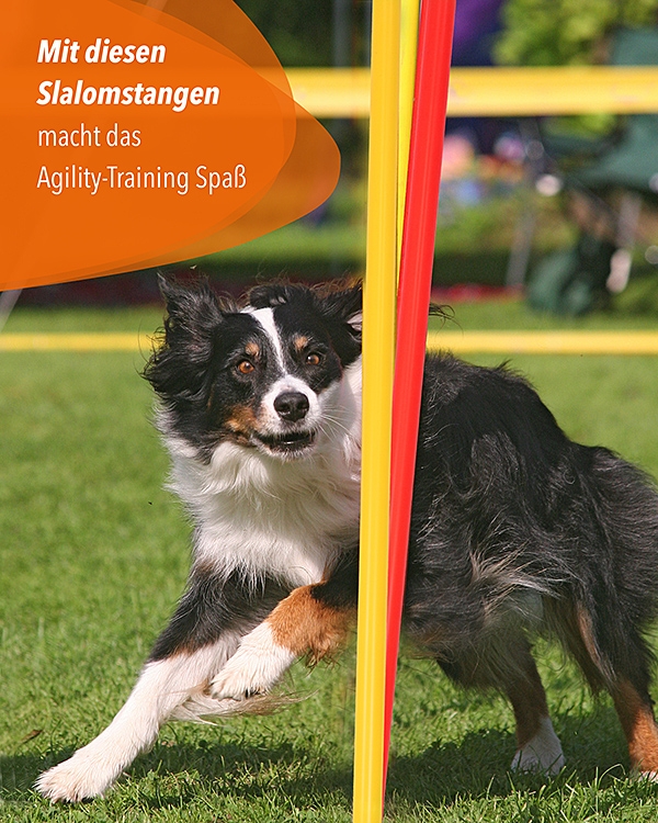 Slalomstangen mit Metallspieß, 100 cm, ø 32 mm, 3 Farben