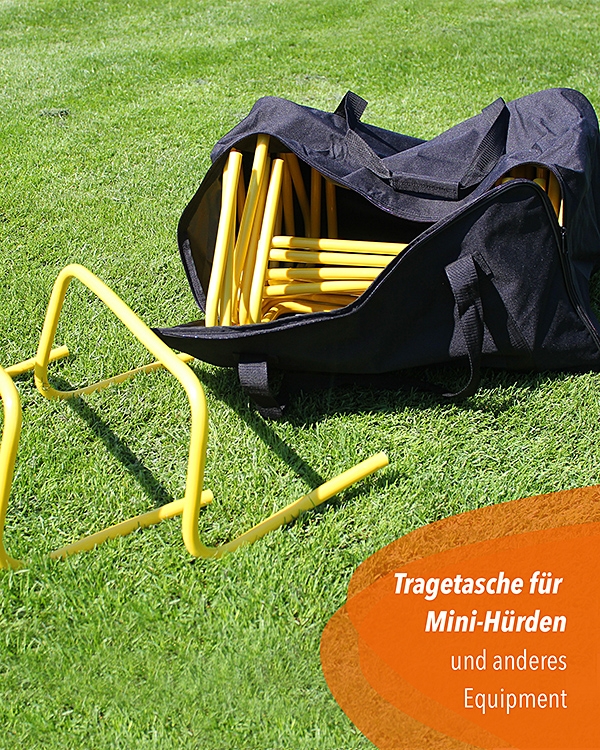 Bag for training aids