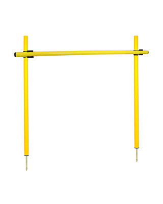 Hurdle set with slalom poles 100 cm, ø 32 mm